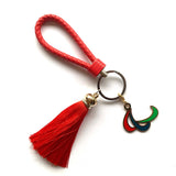 Gekleurde Paralympische Sleutelhanger