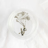 Sportketting RVS met sporthanger