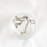 Sportketting RVS met sporthanger