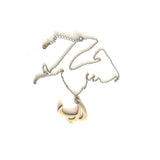 Zilveren ketting Paralympische Spelen kleur